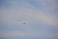 20130726_082244_Flug_Patrouille_Suisse_Fantag_WangenLachen_Display.JPG