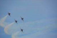 20130726_082534_Flug_Patrouille_Suisse_Fantag_WangenLachen_Display1.JPG