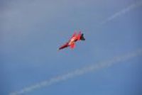 20130726_082942_Flug_Patrouille_Suisse_Fantag_WangenLachen_Display1.JPG