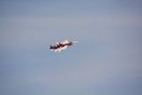 20130726_083021_Flug_Patrouille_Suisse_Fantag_WangenLachen_Display.JPG