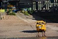 20130803_173321_Reise_London.JPG