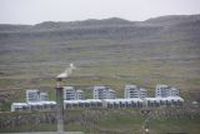 20130806_093530_Reise_Torshavn.JPG