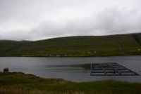 20130806_130722_Reise_Faeroerer_Inseln.JPG