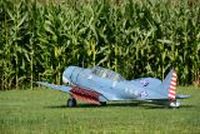 20130817_140523_Modellflug_Flugtag_Flugshow_MGFH_Walchwies_Fehraltorf.JPG