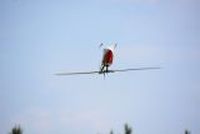 20130818_104758_Modellflug_Flugtag_Flugshow_MGFH_Walchwies_Fehraltorf.JPG