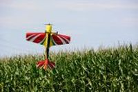 20130818_125133_Modellflug_Flugtag_Flugshow_MGFH_Walchwies_Fehraltorf.JPG